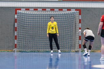 Bild 250 - wCJ TSV Ellerbek - AMTV Hamburg 2 : Ergebnis: 25:20